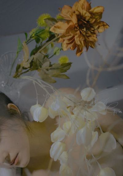天宝伏妖录第三季免费观看_蓝光全集在线观看