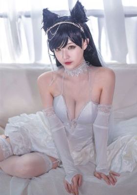 仙踪林电视剧在线观看完整_1080P高清在线观看